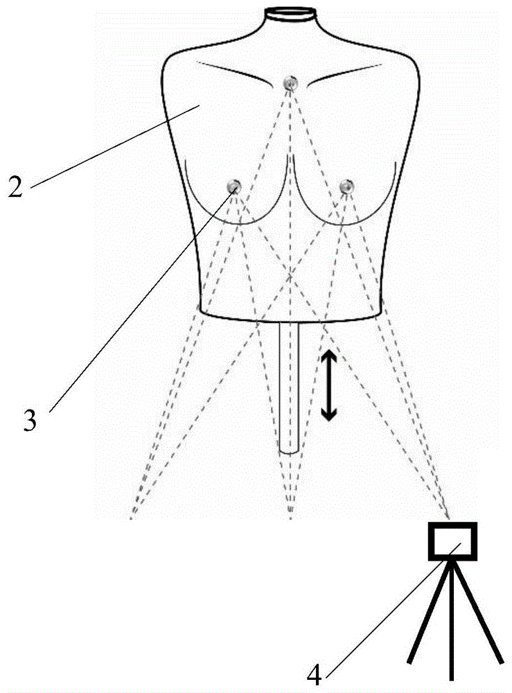 Manikin system for optimized design of bra Medical Textiles and Functional Clothing Research